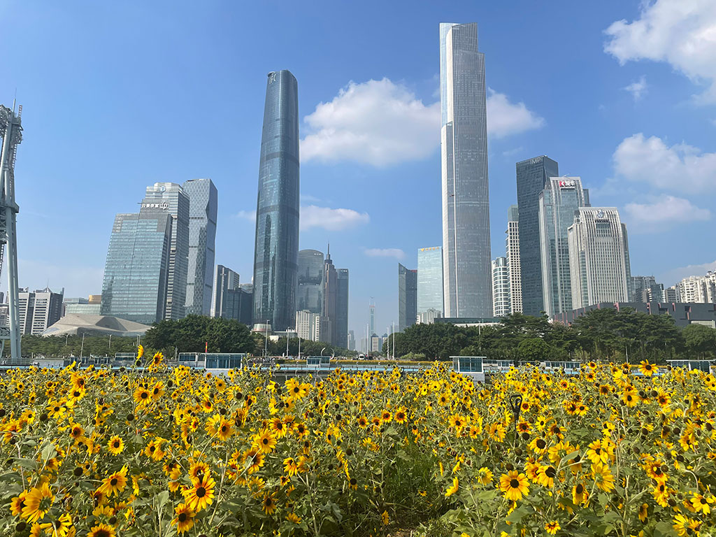 广州花城